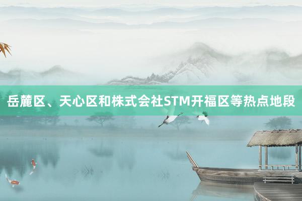 岳麓区、天心区和株式会社STM开福区等热点地段