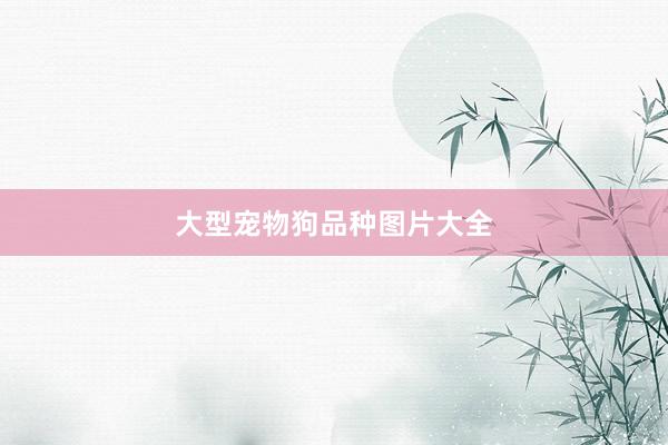 大型宠物狗品种图片大全