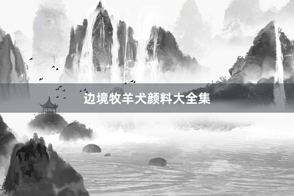 边境牧羊犬颜料大全集