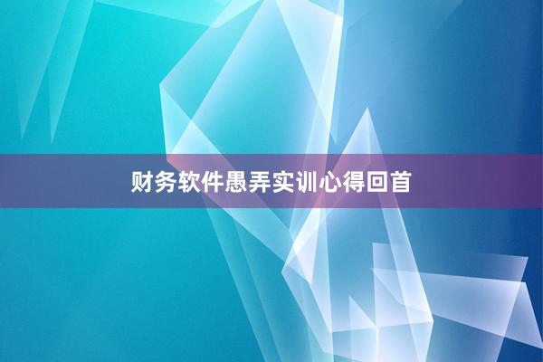 财务软件愚弄实训心得回首